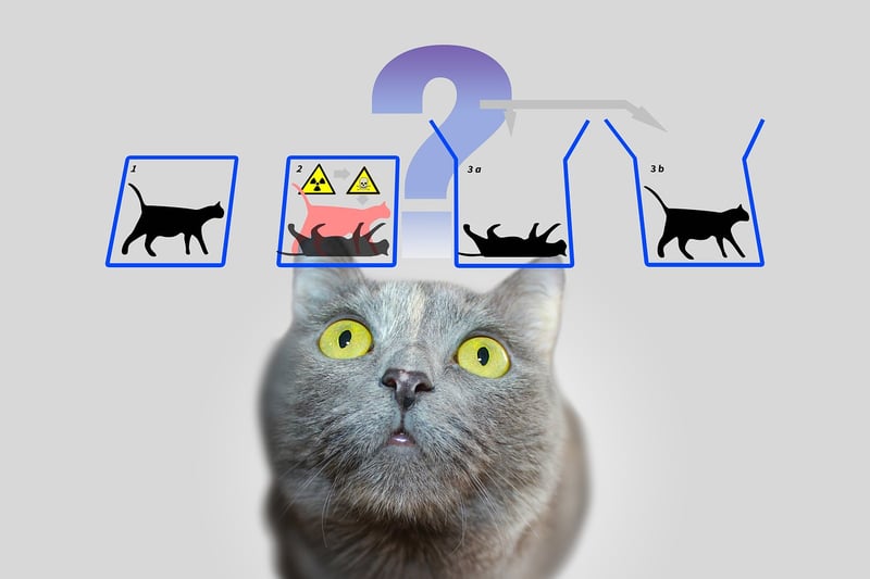 Quantum Vehicles